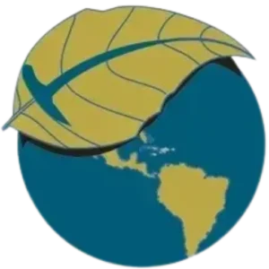 geoenvi-logo-simbolo