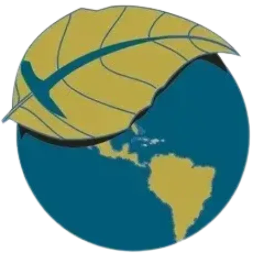 geoenvi-logo-simbolo